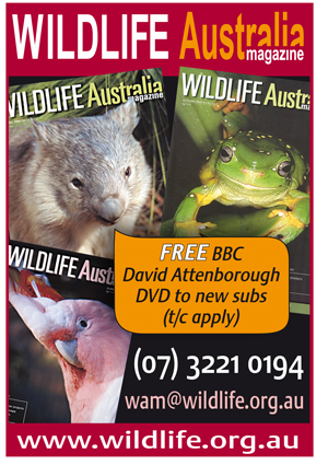 Wildlife Australia Advertisement